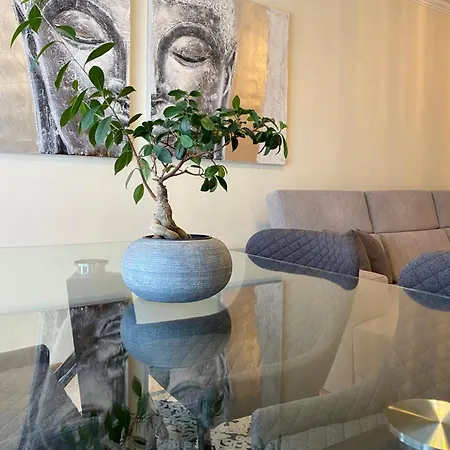 Apartment Altice Forum
